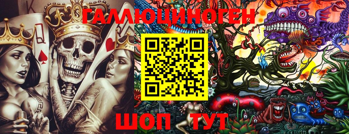 Псилоцибиновые грибы Psilocybine cubensis Чайковский